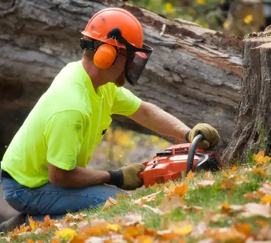 tree services Senath